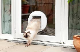 An exposed sliding glass door frame is visible and exposed in the interior and exterior wall. The Sureflap Microchip Pet Door For Large Cats Small Dogs