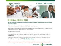 Duties include assessing clients' assets, liabilities, cash flow, insurance coverage, tax status, and financial objectives. Personal Financial Advisor