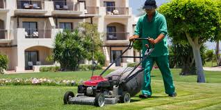 We did not find results for: 3 Benefits Of Hiring A Lawn Mowing Professional Advanced Property Care Llc