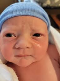 The Importance of Family and Farming — Hungry For Truth