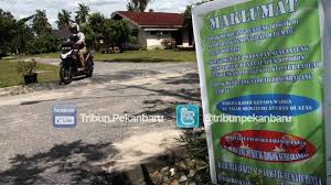 Maybe you would like to learn more about one of these? Foto Spanduk Sosialisasi Perilaku Hidup Bersih Dan Sehat Tribun Pekanbaru