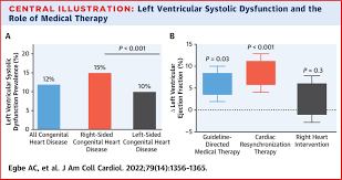 Image result for Systolic Dysfunction