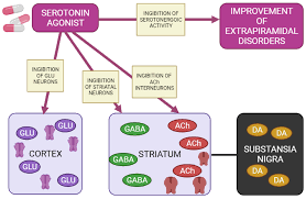 Image result for Extrapyramidal Side Effect