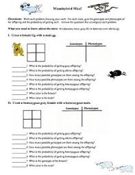 Genetics Punnett Square Practice Printable And Google Apps Distance Learning Biology Classroom Teaching Biology Teaching Science