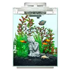 Top Fin Revival Waterfall Desk Aquarium 5 Gallon Fish Tank Decorations Pet Spray Aquarium