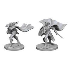 Check spelling or type a new query. Wizkids Neca Llc Pathfinder Deep Cuts Miniatures Elf Female Paladin Boardgames Ca