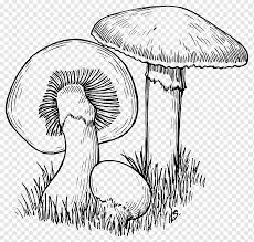 Os discursos vazios e cheios de clichês são os. Caca De Cogumelos Desenho Linha Artistica Fungos Monocromatico Arte Organismo Png Pngwing