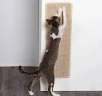 Factory Direct Sales Durable Cat Scratching Rug Pads Vintage Custom Wall Printed Cat Scratcher Mats