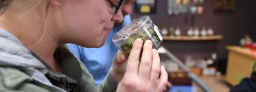 Let's take a quick look at each one. Why Millennials Prefer Cannabis To Booze Zero Enjoyment Out Of Drinking Marketwatch