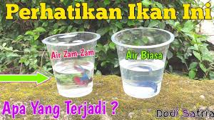 Sumber air berasal dari hujan di mekah. Subhanallah Keajaiban Air Zam Zam Yang Tersembunyi Terjawab Disini Youtube