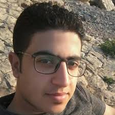 Waleed Ahmed Elnagar