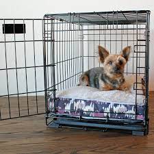 Crate Training A Puppy Whining Peeing Chewing Solved Crate Training Puppy Puppy Training Dog Training Obedience