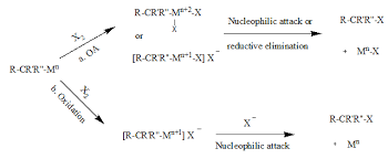 Nucleophilic Abstraction Wikipedia