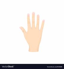 Opened Palm Of The Hand Icon Cartoon Style Vector Image On Vectorstock Cartoon Styles Hands Icon Open Palm