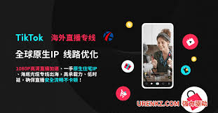tiktok海外跨境网络专线服务平台-国际网络专线