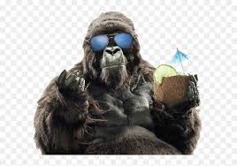 Download free orang utan png images, orang tua, orang, mighty utan lego store, orang our database contains over 16 million of free png images. Summer Sunglasses Primate Vacation Gorilla Western Orang Utan Png Transparent Png Vhv