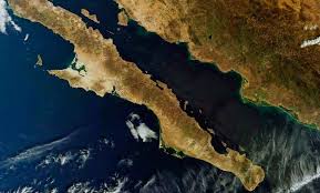 La falla de san andrés la falla de san andrés acaba cediendo ante las temibles fuerzas telúricas y desencadena un terremoto de magnitud 9 en california. Falla De San Andres Que Es Y El Gran Terremoto Que Desencadenara