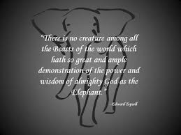 See more ideas about words, me quotes, inspirational quotes. Elephant Quote 1 Jpg Elephant Quotes Elephant Facts Elephants Never Forget