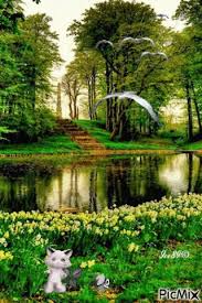 This app allows you to add live effects to your photos for every occasion. Free Download Nature Gif Wallpaper