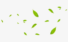 Green Leaves Fly With The Wind Leaf Illustration Leaves Illustration Wreath Watercolor