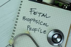 Image result for Biophysical Profile