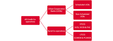 Money transfer today is no longer the long and. Reforming The Governance Of Co Operative Banks A Study Of State And District Central Co Operative Banks In 10 States