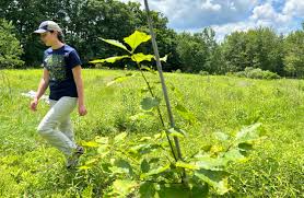 Themainechronicle.com: Navigating the Pulse of Maine’s Future