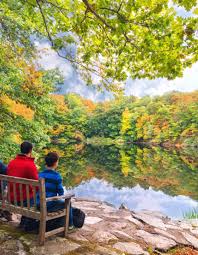 Lucius Pond Ordway/Devil's Den Preserve | CTvisit
