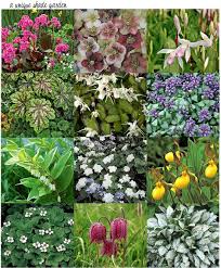 Bernice Moody (bernicemoody)