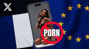 Débloquer les contenus porno sur X (Twitter) : voici comment contourner la  censure en 2 minutes
