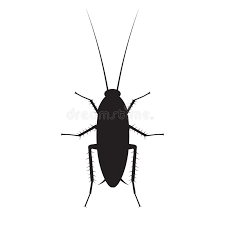 Cockroach Silhouette Stock Illustrations 2 601 Cockroach Silhouette Stock Illustrations Vectors Clipart Dreamstime All silhouettes including outlines are free for personal and commercial use. cockroach silhouette stock