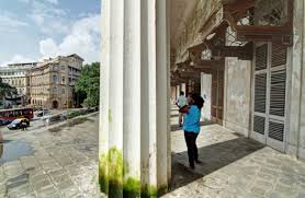 Horniman Circle: Exploring the tiny ...