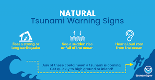 He claimed that one of his colleagues started a vegan dinner club exclusively for their coworkers following a vegan, vegetarian or pescatarian diet. Natural Tsunami Warning Signs Tsunami Tsunami Warning Infographic