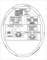 Organisational Chart The American College