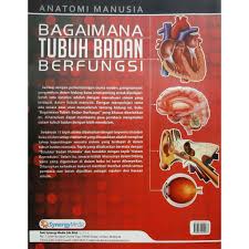 Global rental group premier members. Anatomi Manusia Bagaimana Tubuh Badan Manusia Berfungsi Shopee Malaysia