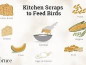 Image result for what to feed birds besides bread