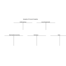 Use Of T Accounts And Templates For T Accounts Learn How To