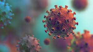 Zum artikel kaufen in ballungsräumen : Hessenschau De Nachrichten Aus Hessen