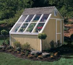 10 8 Phoenix Solar Shed Diy Greenhouse Greenhouse Shed Backyard Greenhouse Backyard Projects