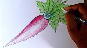 How To Draw A Radish Step By Step So Easy Youtube We find that dall·e is able to draw multiple copies of an object when prompted to do so, but is unable to reliably count past. how to draw a radish step by step so easy