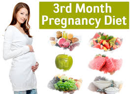 3rd Month Of Pregnancy Diet Which Foods To Eat And Avoid