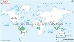 Tropical rainforests are found closer to the equator and temperate rainforests are found farther north near coastal areas. World Rainforests Map Rainforests Of The World