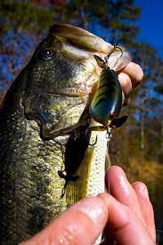 Each Type Of Line Has Specific Uses According To Marty Stone If You Ve Hung Around Your Local Marinas Long Enough Ch Fish Bass Fishing Bass Fishing Pictures
