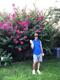Moving to missouri from california want to ship potted plants to missouri. Who Says Crepe Myrtle Can T Grow Well In Missouri Crepe Myrtle Garden Inspiration Garden Lovers