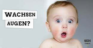 Kannst ja auch mal einen tierarzt fragen. Wann Sind Augen Ausgewachsen Seh Check De