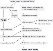 Multiple System Atrophy An Oligodendroglioneural Synucleinopathy Ios Press