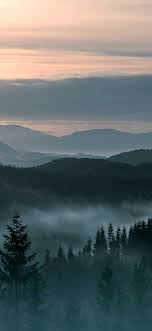 Maybe you would like to learn more about one of these? Mountain Forest Background Hd