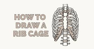 Rib pain or pain in the chest wall that feels like it comes from a rib may be caused by traumatic injury, muscle strain, joint inflammation, or chronic pain, and ranges in severity. How To Draw A Rib Cage Really Easy Drawing Tutorial
