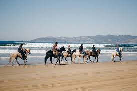 Horseback Riding On The Beach In Pismo Beach One Of The Best Adventures On The Central Coast Horsebackriding Horseback Pismobeach