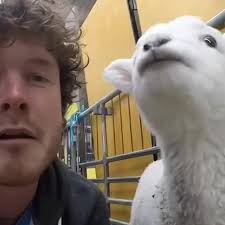 Allan Dixon Australia